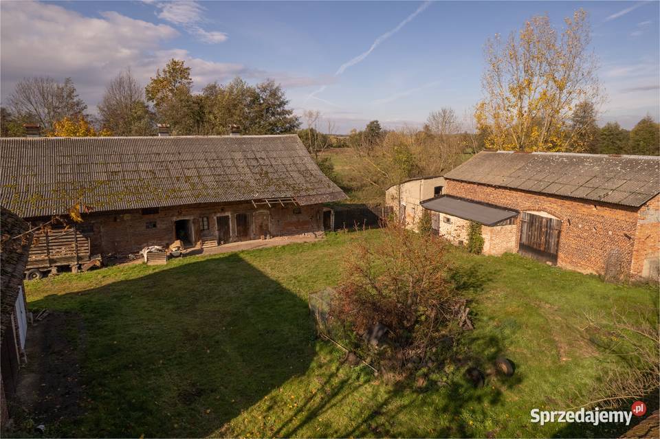 Miejsce z potencjałem dom budynki gosp i łąki w dolnośląskie Dalborowice sprzedam