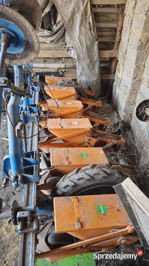 Sprzedam siewnik do buraków siewnik do kukurydzy nieuszkodzony Lasocice