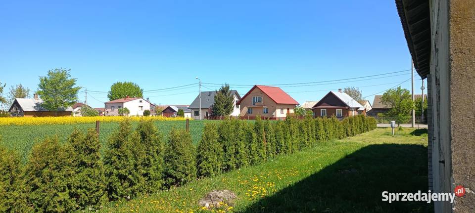 Działka z domem i budynkami gospodarczymi Wygnanów sprzedam