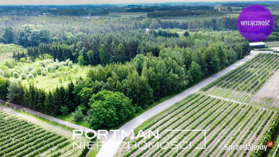 Działka budowlana 1100m2 SPRZEDAŻ MPZP Świętochów