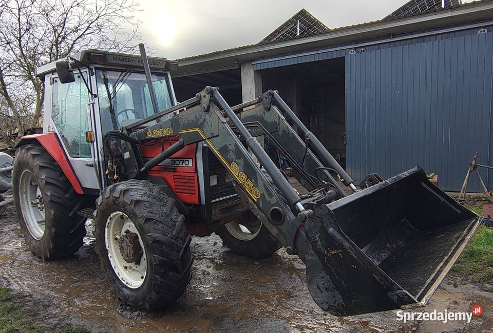MF Massey Ferguson 3070 tur Uniejów