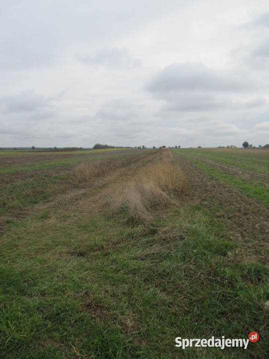 Działka rolna łódzkie Parczów