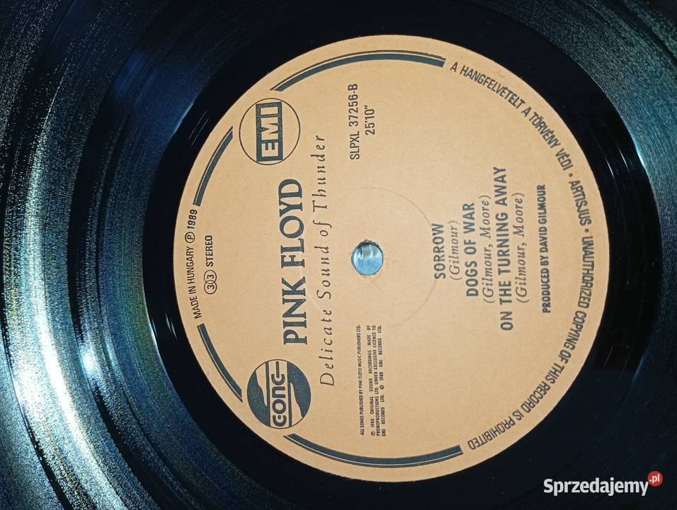 Pink Floyd Delicate Sound Of Thunder Hungary Rumia sprzedam