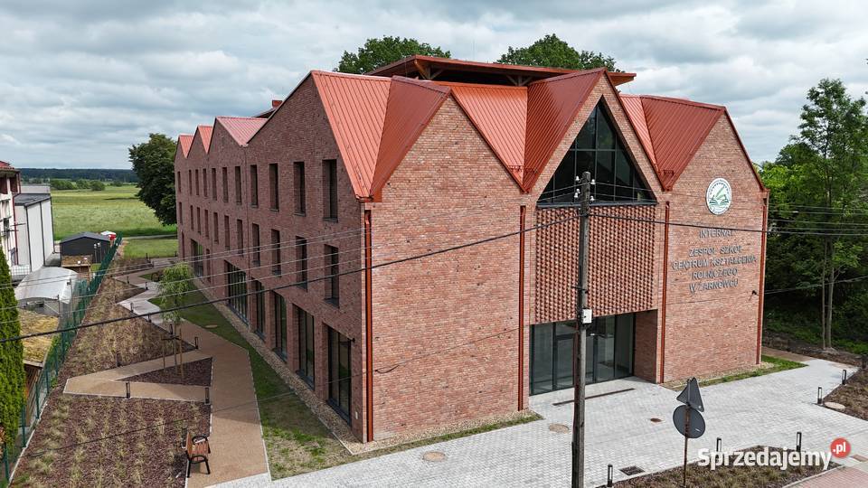 CEGŁA MALINOWA RĘCZNIE FORMOWANA CEGŁA sprzedam