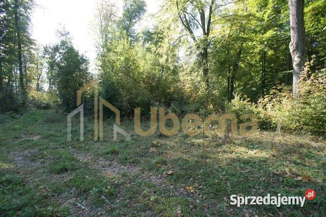 Działki jeziorem do 50 taniej Dobra Now rekreacyjna