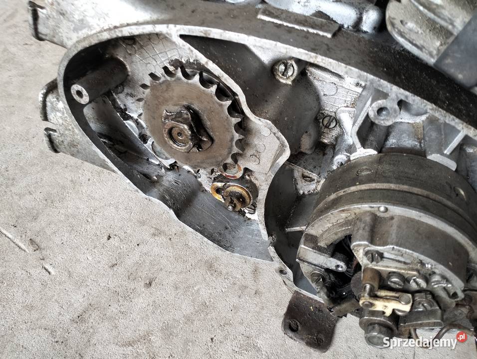 Silnik MZ 250 Pozostałe Truskolasy sprzedam