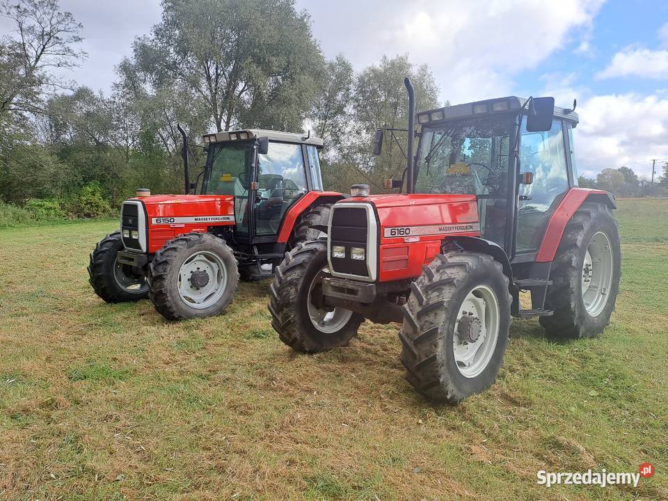 Massey Ferguson 6150 6160 lubelskie Chełm