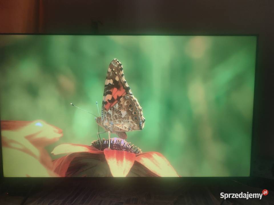 Sprzedam terewizor tlc55 Qled Zegrze