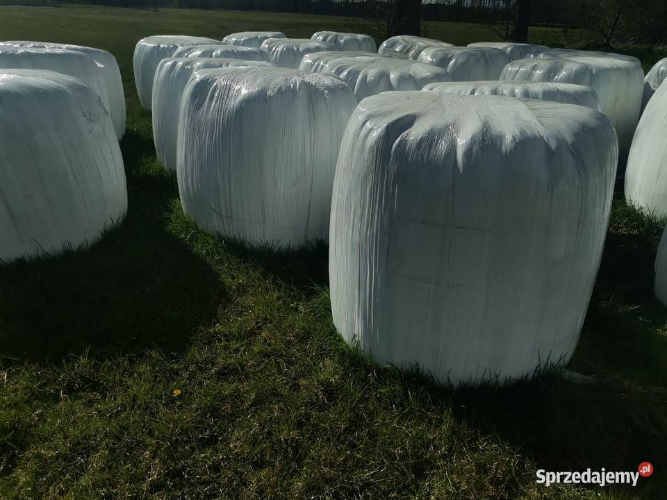 Bele sianokiszonk Ponarlica sprzedam