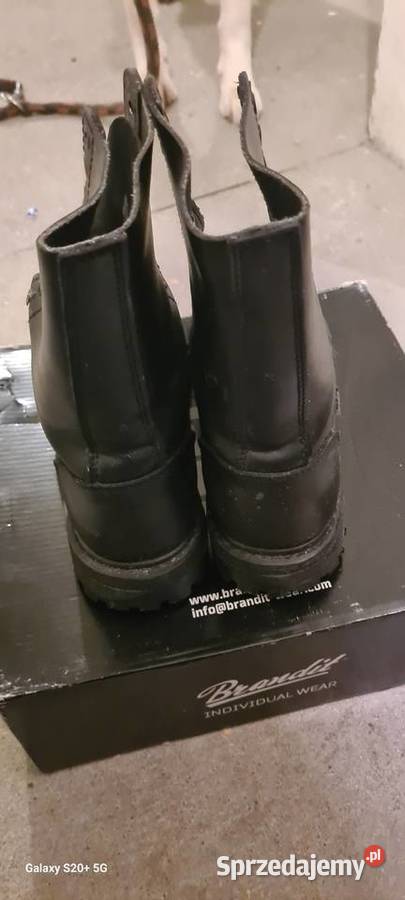 Glany męskie kujawsko-pomorskie Toruń