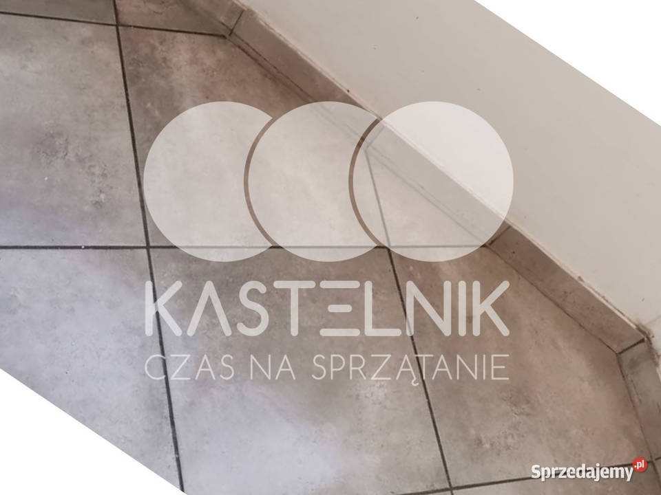 Sprzątanie gołębiach Bielawa Kastelnik mycie