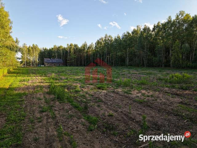 Działka 900m2 Czarna Sędziszowska
