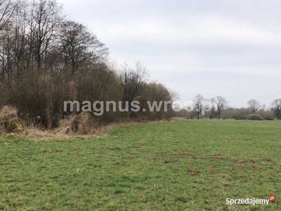 Na sprzedaż piękna działka rolna w 30zł/m2 Świdnica
