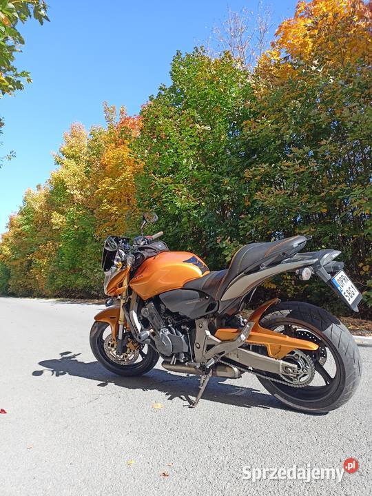 Honda Hornet 2007 opolskie Prudnik