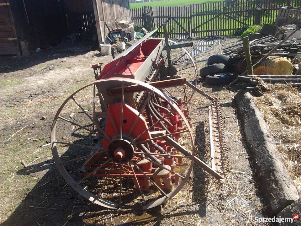 Siewnik konny nieuszkodzony Chybie
