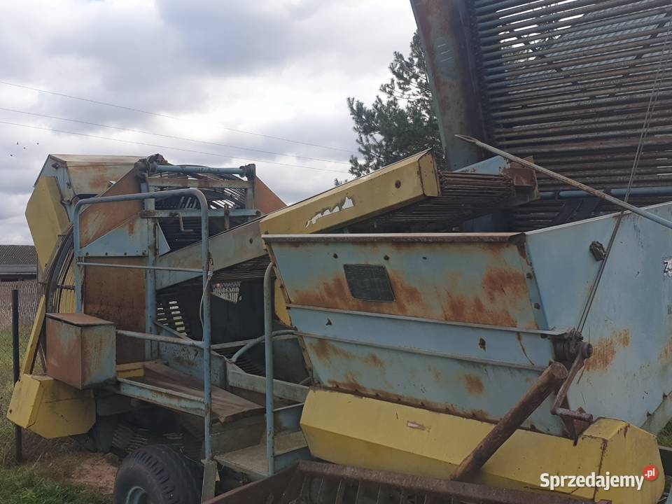 Sprzeda kombajn ziemniaczany Anna Do ziemniaków i warzyw mazowieckie Goworowo