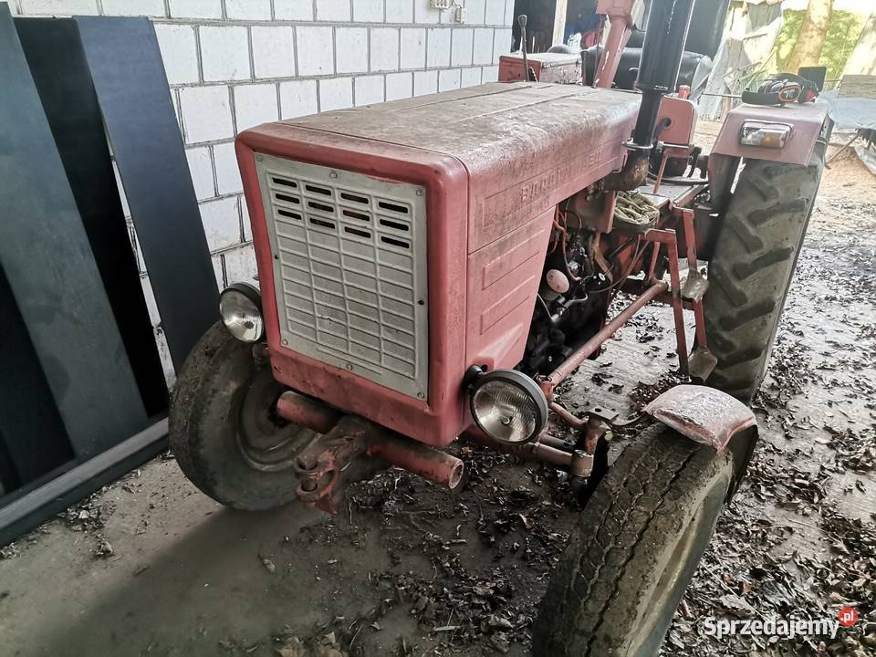 władimirec T25 Augustów