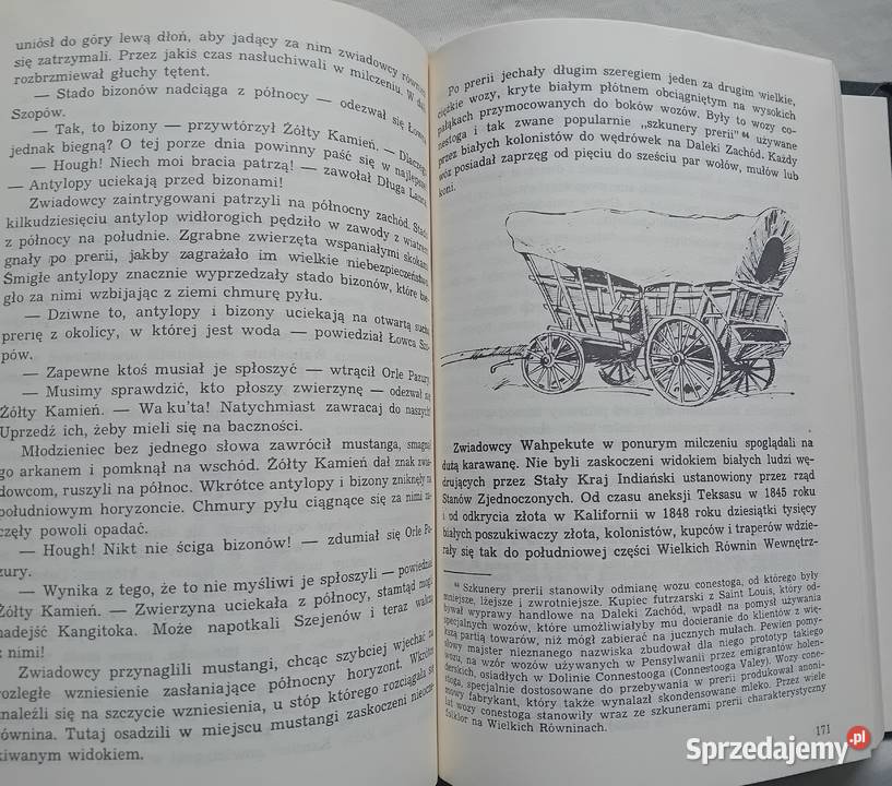 Ki A Szklarscy Złoto Gór Czarnych Tom 3 Ostatnia Proza i poezja Koźminek