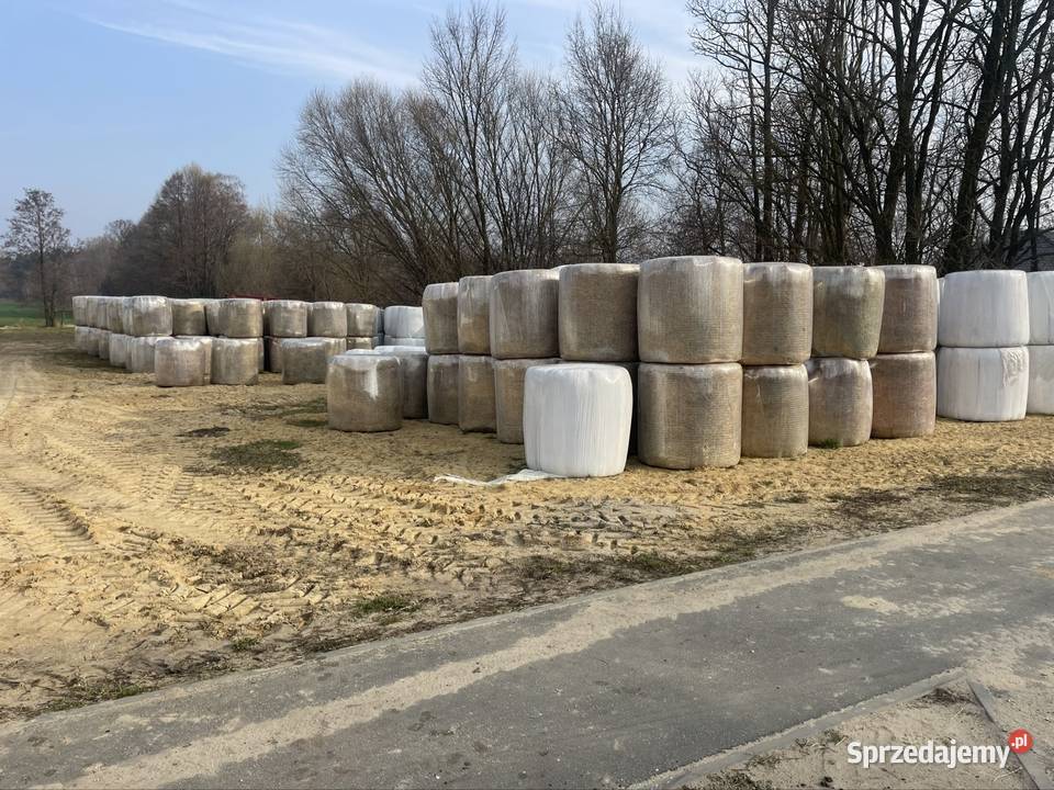 Sianokiszonką łódzkie Łódź