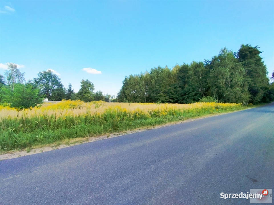 Działka Kalonka 2366m2 telefon Sprzedaż łódzkie sprzedam