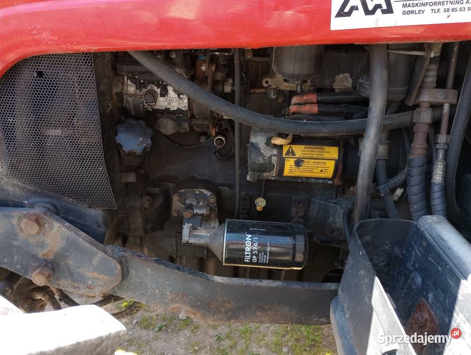 Massey Ferguson 5445 Baćkowice