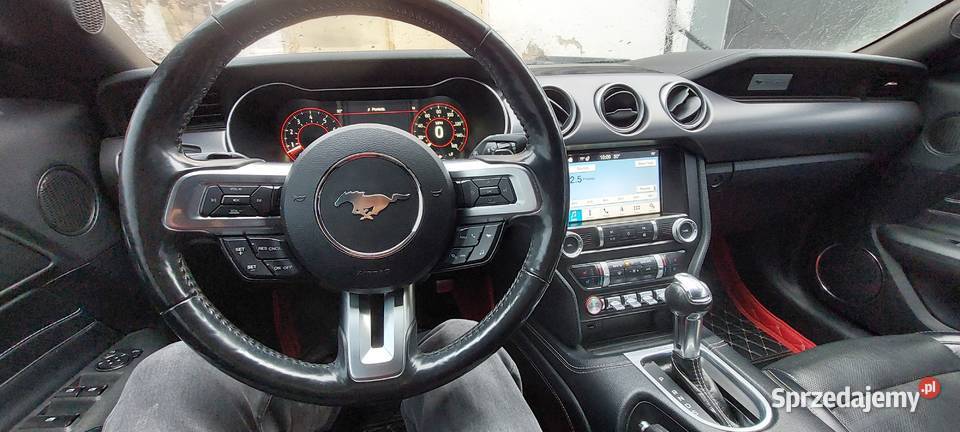 Ford Mustang GT 50 cabrio automat skóry 77000km Wrocław