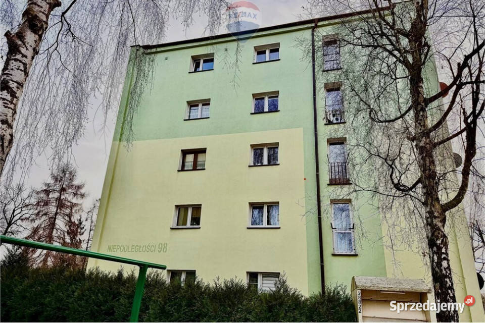 Duże mieszkanie w CzechowicachDz