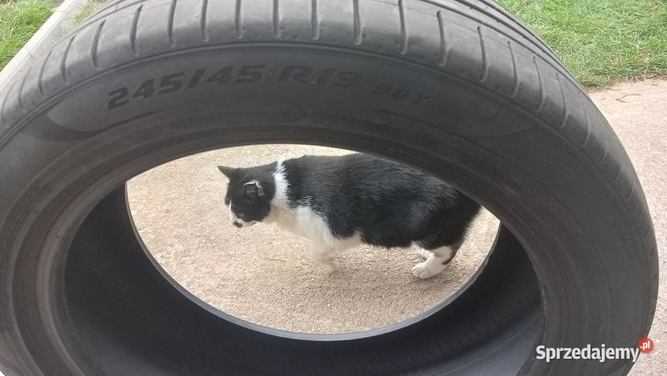 Opona PIRELLI P ZERO R19 24545 podlaskie