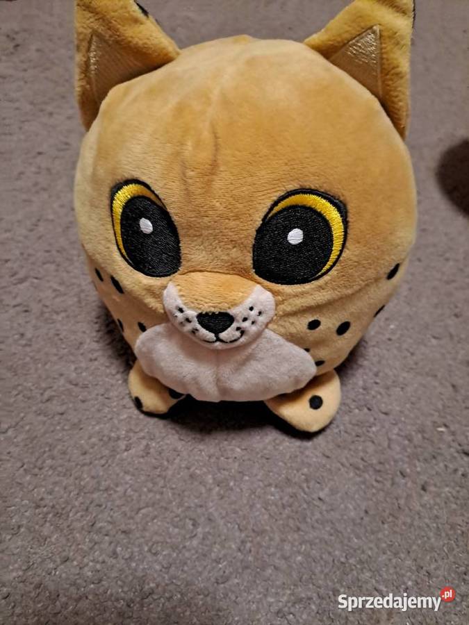 Zabawki z biedronki 3 lata+ śląskie Sosnowiec