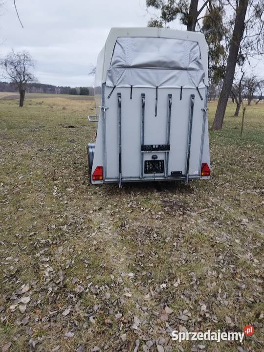 Przyczepa Konna Boeckmann Thiel Explorer z mazowieckie Radom