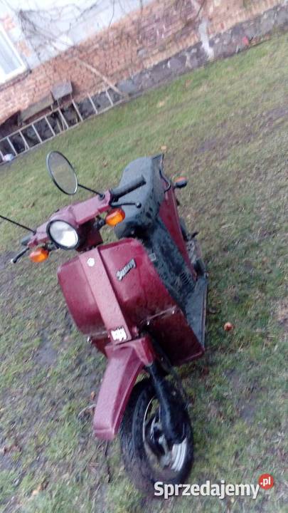 bajaj sunny Pozostałe Dąbie