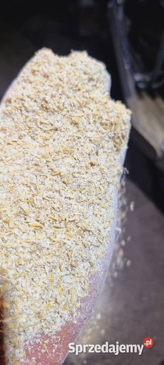 Usługi śrutowania Zbórz ziarna kukurydzy podlaskie