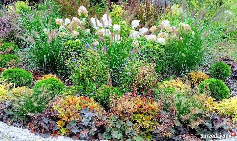 Projekt ogrodu projektowanie i zakładanie