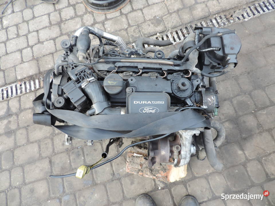 FORD FIESTA MK6 14 TDCI FUSION SILNIK F6JA małopolskie Nowy Sącz