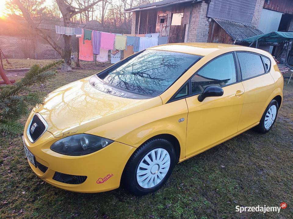 Piękny leon Chmielnik