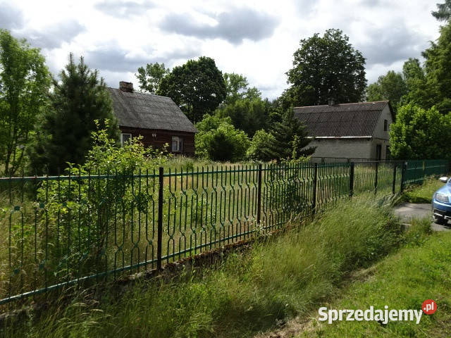 Syndyk sprzeda udziały 316 316 Sadek 90