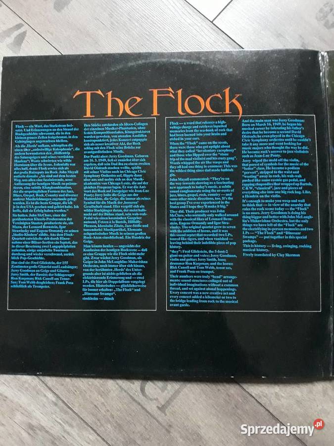 Z wykopalisk Jazz Rocka THE FLOCK The Flock 1972 Płyty i kasety Rzeszów
