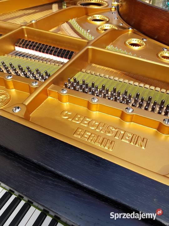 fortepian Bechstein Model B 203 Instrumenty klawiszowe i MIDI