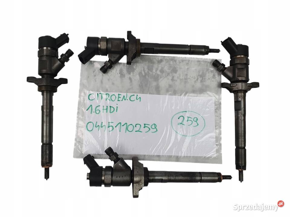 WTRYSKIWACZ Peugeot 206 207 307 3008 407 5008 Chełm