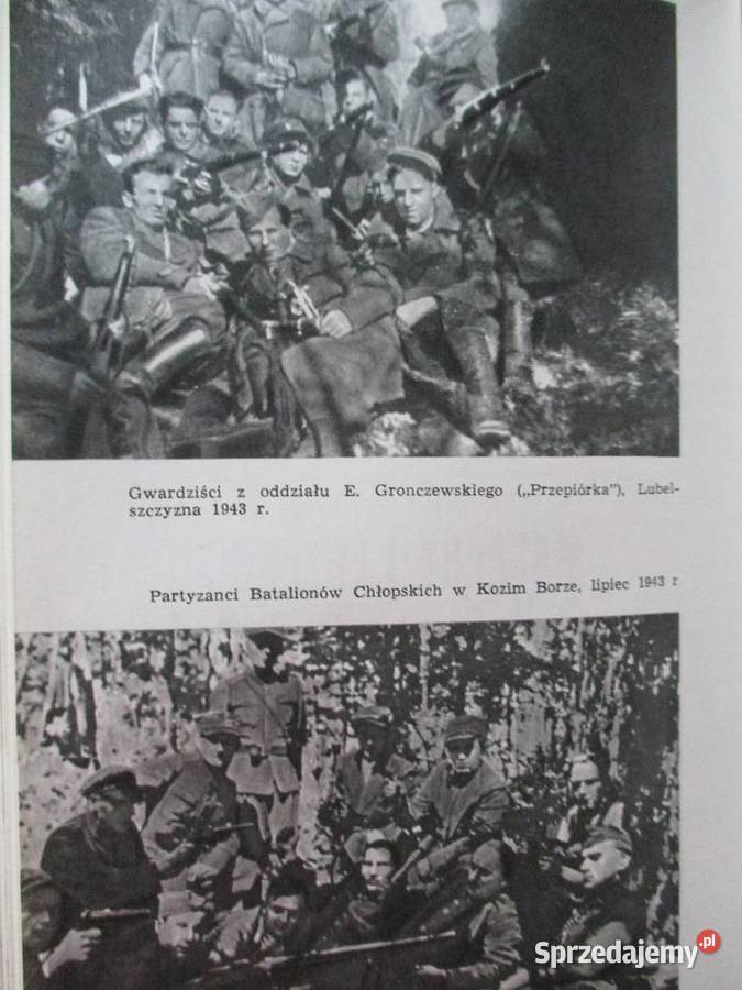 Wojna wyzwoleńcza narodu polskiego 19391945 Łódź