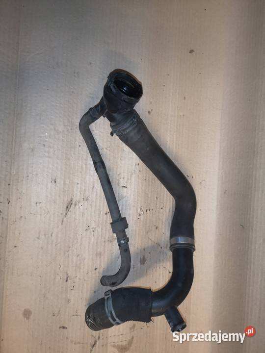 KRÓCIEC WODY WĄŻ AUDI VW SEAT SKODA 3C0122101EM osobowe Przystajń