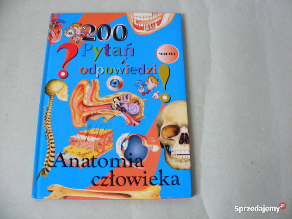 100 najsławniejszych piłkarzy Polska dzieci 200 dolnośląskie Oborniki Śląskie