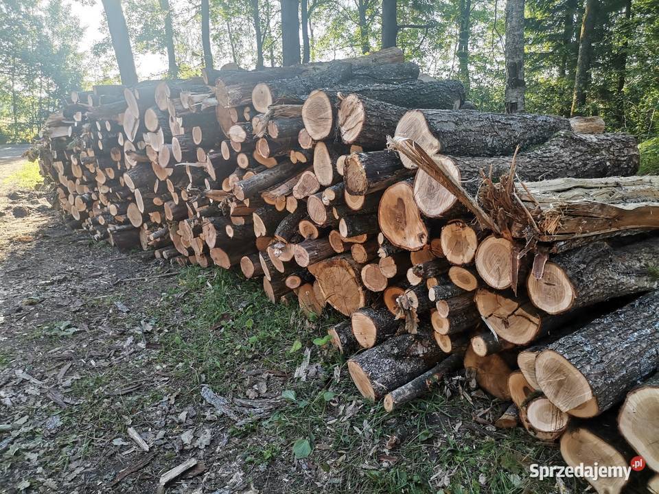 Slupsk Drewno kominkowe opalowe buk brzoza olcha Słupsk