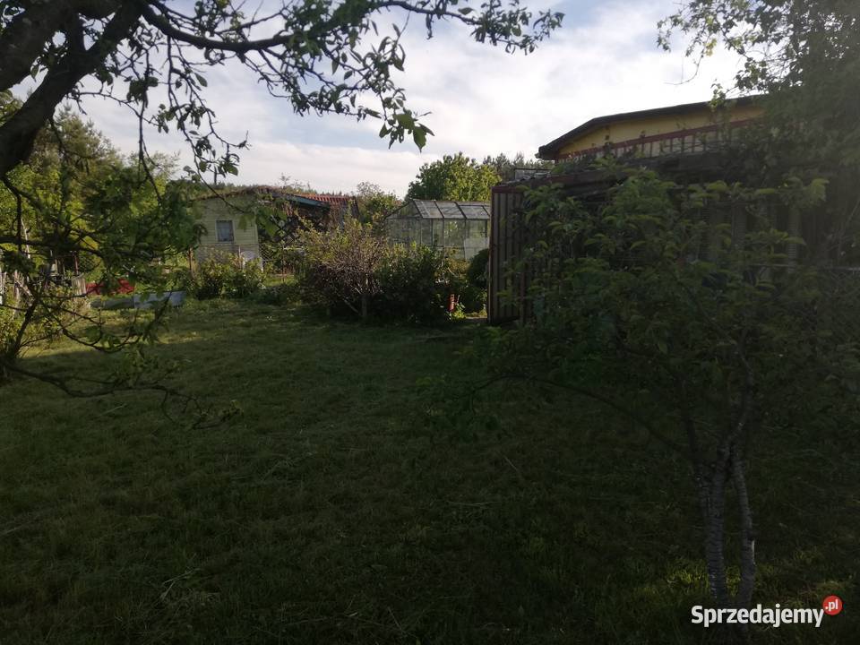 Działka rekreacyjna ROD 3000m2 Kwidzyn