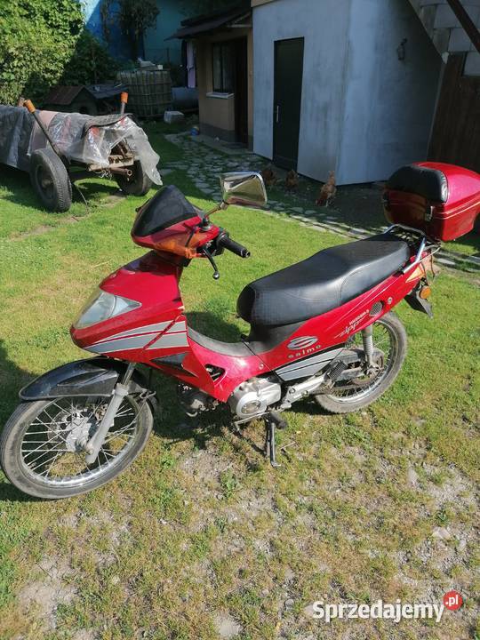Skuter Zipp Salmo 503 4biegowy Zipp Nowy Sącz