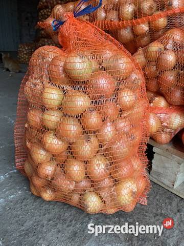 Sprzedam cebulę