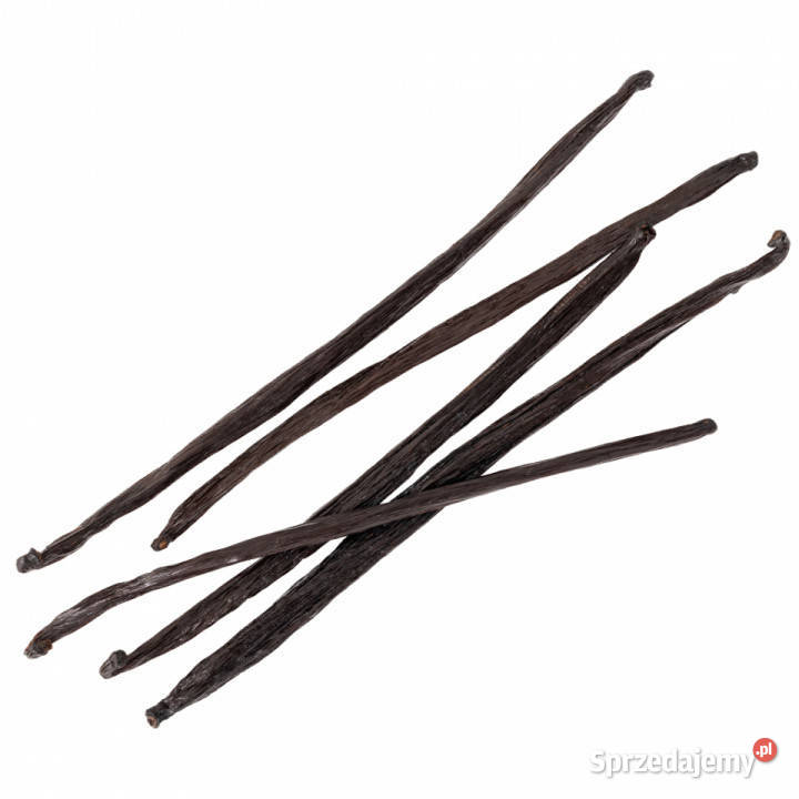 Wanilia laski 5 Brzozów