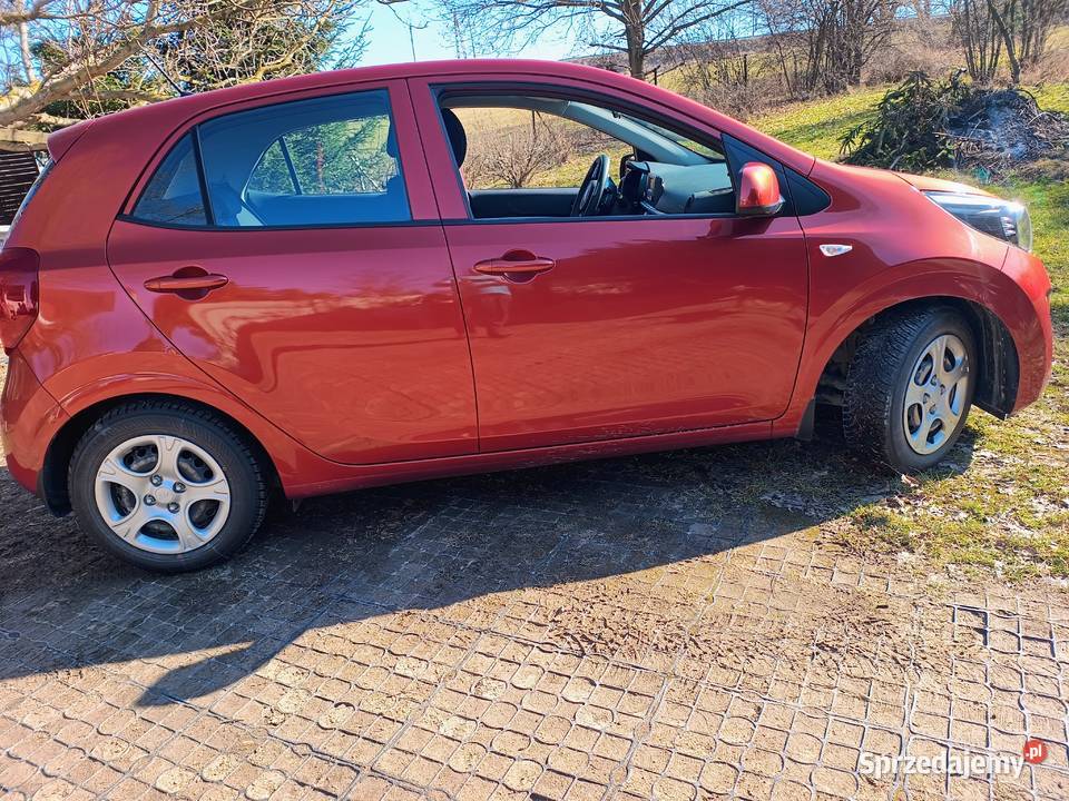 KIA PICANTO 2017 r POLSKI SALON BEZWYPADKOWY radio Kamieniec Ząbkowicki