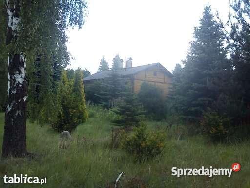 Niespotykana superoferta pośredników na 0 Łódź