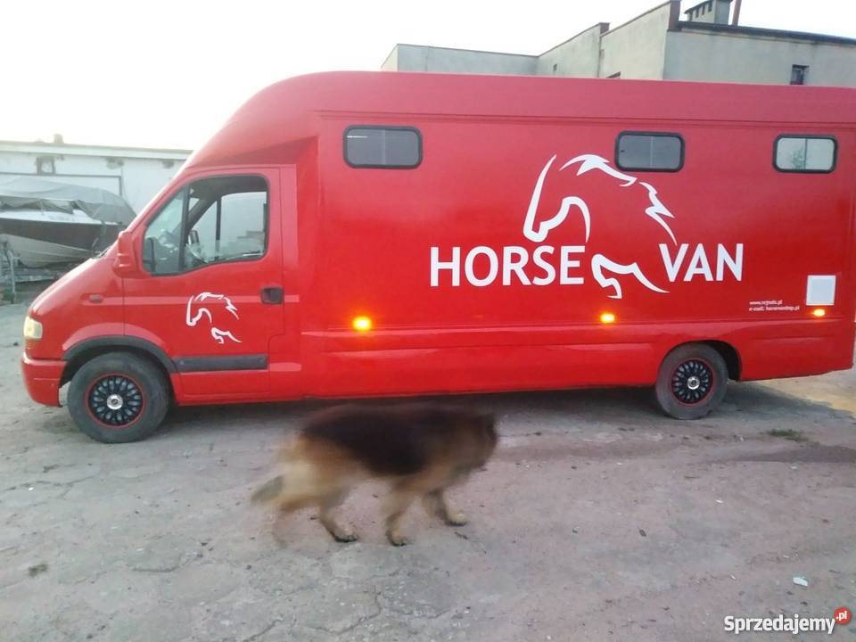 Koniowóz Renault Słupia